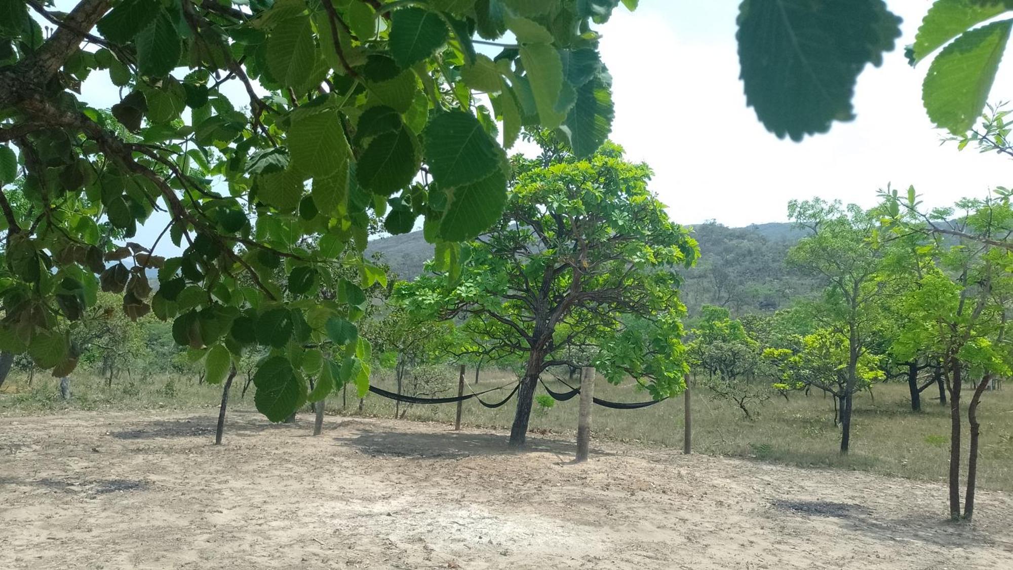 Pousada Solar Da Canastra Delfinópolis Eksteriør bilde